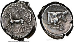 SICILY. Gela. Ca. 430-425 BC. AR tetradrachm (25mm, 16.73 gm, 2h). NGC XF 4/5 - 3/5, light smoothing. Charioteer driving slow quadriga right; wreath a...