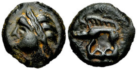 Leuci AE cast potin, boar reverse 

Celtic Gaul. Leuci. AE Potin unit (18-19 mm, 4.35 g), c. 1st Century BC.
 Obv. Diademed heat with three locks o...