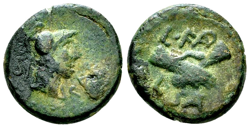 Paestum AE Semis, c. 90-44 BC 

Lucania, Paestum (Poseidonia). AE Semis (16-17...