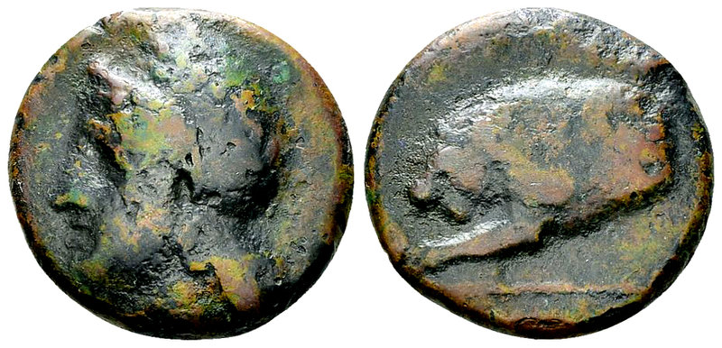 Velia AE20, 4th to 2nd century BC 

Lucania, Velia. AE20 (7.54 g), 4th to 2nd ...