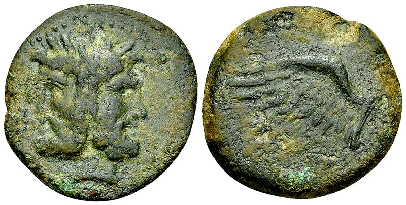 Panormos AE24, after 241 BC 

Sicily, Panormos. AE24 (8.58 g), after 241 BC.
...