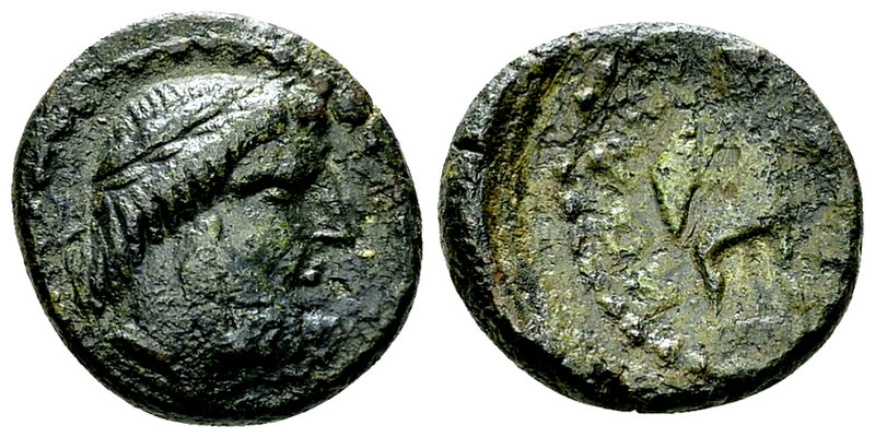 Solous AE Tetras, c. 200-150 BC 

Sicily, Solous. AE Tetras (16-17 mm, 4.30 g)...