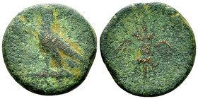 Lakeidamon AE Hexachalkon, 235-222 BC 

Lakonia, Lakedaimon (Sparta). Kleomenes III (235-222 BC). AE Hexachalkon (22-23 mm, 10.44 g).
Obv. Eagle st...