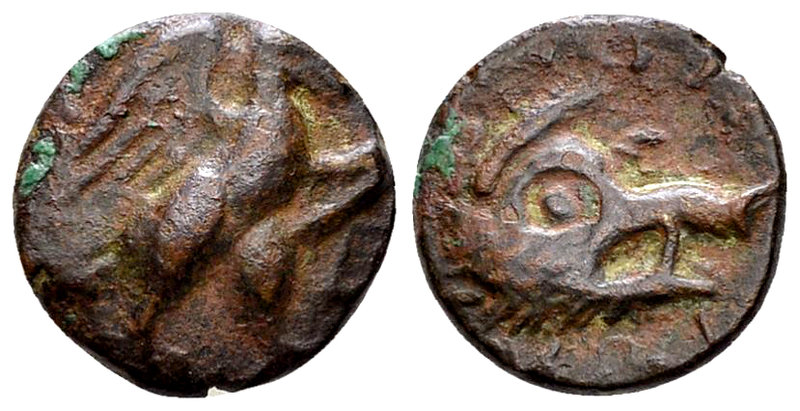 Lyttos AE14, 3rd century BC 

Crete, Lyttos. AE14 (2.52 g), 3rd century BC.
O...