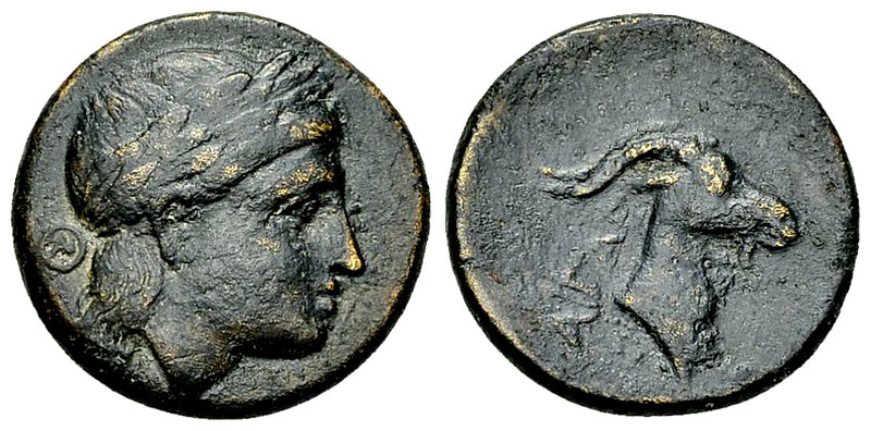 Aigai AE17, c. 300-200 BC 

Aeolis, Aigai. AE17 (3.93 g), c. 300-200 BC.
Obv....