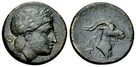 Aigai AE17, c. 300-200 BC 

Aeolis, Aigai. AE17 (3.93 g), c. 300-200 BC.
Obv. Laureate head of Apollo to right; behind, AI in annulet.
Rev. Forepa...