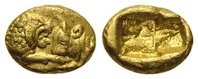 Kroisos AV Hekte, Sardes 

Kings of Lydia. Kroisos. AV Hekte (7-9 mm, 1.34 g), Sardes, c. 564/53-550/39 BC.
Obv. Confronted foreparts of lion and b...