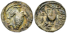 Iudaea, Bar Kochba revolt AR Drachm (Zuz) 

Iudaea, Bar Kochba revolt (132-135 AD). AR Drachm (Zuz) (19 mm, 3.37 g), undated, year 3 (134/135).
Obv...