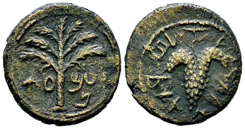 Iudaea, Bar Kochba revolt AE20 

Iudaea, Bar Kochba revolt (132-135 AD). AE20 ...