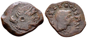 Ptolemy VIII AE22, Kyrene 

Ptolemaic Kings of Egypt. Ptolemy VIII Euergetes II (Physcon), second reign (145-116 BC). AE 22 (4.69 g), Kyrene.
Obv. ...