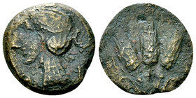 Iol AE16, c. 25 BC-24 AD, rare 

Mauretania, Iol-Caesarea. AE16 (2.69 g), c. 25 BC-24 AD.
Obv. Head of Isis left.
Rev. Three grain ears.
SNG Cop....