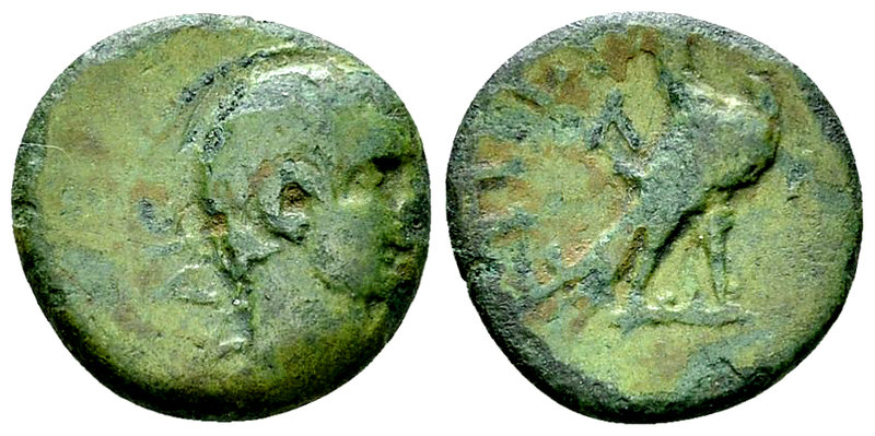 Augustus with C. Iulius Eurycles AE16, Sparta 

Augustus with C. Iulius Eurycl...
