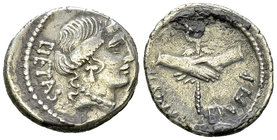 D. Iunius Brutus Albinus AR Denarius, 48 BC 

D. Iunius Brutus Albinus. AR Denarius (18-19 mm, 3.69 g), Rome, 48 BC.
Obv. PIETAS, Head of Pietas to...
