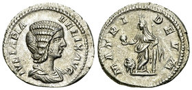 Julia Domna AR Denarius, Cybele reverse 

Caracalla (198-217 AD) for Julia Domna. AR Denarius (18-19 mm, 2.93 g), Rome, 211-217.
Obv. IVLIA PIA FEL...