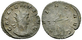 Gallienus AE Antoninianus, Salus reverse 

Gallienus (253-268 AD). AE Antoninianus (20-21 mm, 3.18 g), Rome, 262 AD.
Obv. GALLIENVS AVG, Radiate an...