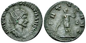 Quintillus AE Antoninianus, Virtus reverse 

Quintillus (270 AD). AE Antoninianus (20 mm, 2.67 g), Rome.
Obb. IMP C M AVR CL QVINTILLVS AVG, Radiat...