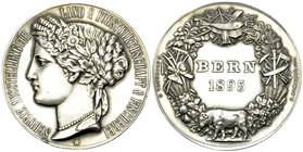 Bern, AR Medaille 1895, Landwirtschaftsausstellung 

Schweiz, Bern. AR Medaille 1895 (50 mm, 51.09 g), auf die Schweiz. Ausstellung für Land & Forst...