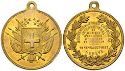Genf, AE Medaille 1882, Grand concours musical 

Schweiz, Genf/Genève. AE Medaille 1882 (33 mm, 8.92 g), Souvenir du grand concours international de...