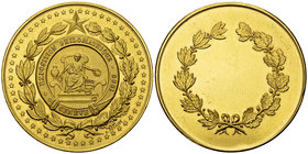 Genf, Vergoldete AE Medaille 1889, Exposition philomathique 

Schweiz, Genf /Genève. Vergoldete AE Medaille 1889 (51 mm, 60.46 g), Exposition philom...