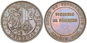 Genf, AE Medaille 1891, Concours de négatifs 

Schweiz, Genf /Genève. AE Medaille 1891 (37 mm, 26.48 g), Concours de négatifs de la Revue de Photogr...