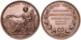 Faido, AE Medaille 1893, Esposizione Leventinese 

Schweiz, Tessin/Ticino. Faido. AE Medaille 1893 (44 mm, 39.37 g), Esposizione agricola-industrial...