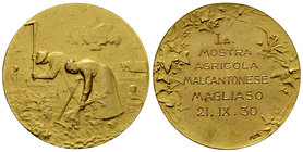 Magliaso, Vergoldete AE Medaille 1930, Mostra agricola 

Schweiz, Tessin/Ticino. Magliaso. Vergoldete AE Medaille 1930 (30 mm, 10.45 g), auf die 1. ...