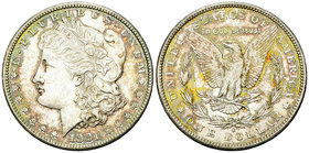 USA AR Dollar 1881 S 

USA. AR Dollar 1881 S (26.77 g), San Francisco.
KM 110.

Wonderful patina. FDC.