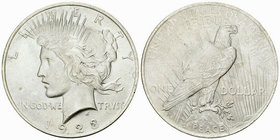 USA AR Dollar 1923 

USA. AR Dollar 1923 (26.68 g).
KM 150.

Uncirculated.