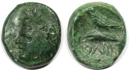 Griechische Münzen, BOSPORUS. Halk 350-330 v. Chr, Demeter Head // Adler auf einem Delphin. Bronze. Sehr schön