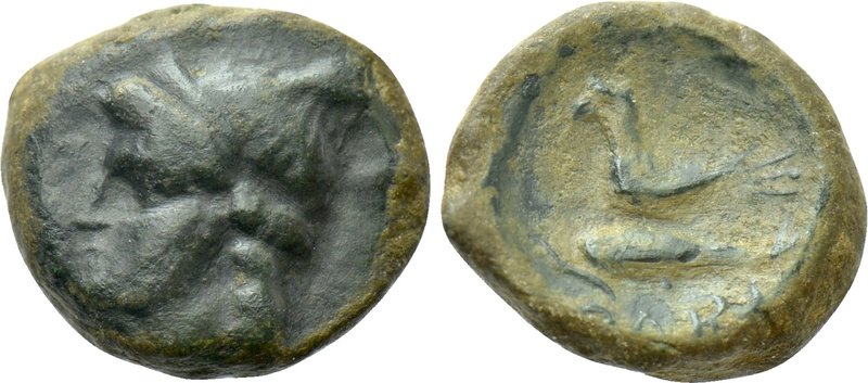 SKYTHIA. Olbia. Ae (Circa 350-320 BC). 

Obv: Head of Demeter left.
Rev: OΛBI...