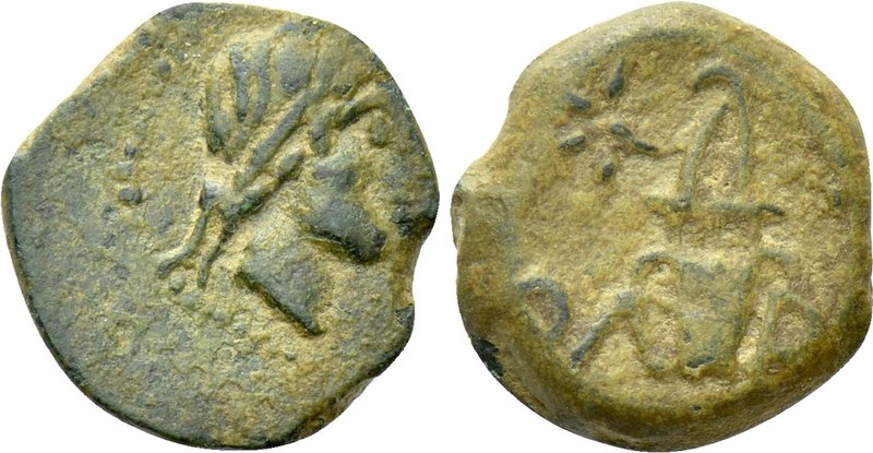 SKYTHIA. Olbia. Ae (Circa 90-80 BC). 

Obv: Laureate head of Apollo right.
Re...