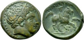 KINGS OF MACEDON. Philip II (359-336 BC). Ae.