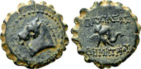 SELEUKID KINGDOM. Demetrios I Soter (162-150 BC). Serrate Ae. Antioch on the Orontes.