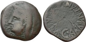 ISLANDS OF SICILY. Melita. Pseudo-autonomous (Circa 44-36 BC). Ae. C. Arruntanus Balbus, propraetor.