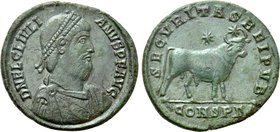 JULIAN II APOSTATA (361-363). Follis. Constantinople.