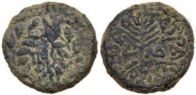 Judaea, Herodian Kingdom. Herod III Antipas. &AElig; Half denomination (7.65 g), 4 BCE-39 CE. Tiberias, RY 34 (30/1 CE). TIBE/PIAC in two lines within...