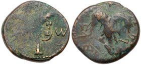 Judaea, Bar Kokhba Revolt. &AElig; Medium Bronze (9.89 g), 132-135 CE. Year 2 (133/4 CE). 'Sma' (abbreviating Simon; Paleo-Hebrew), seven-branched pal...