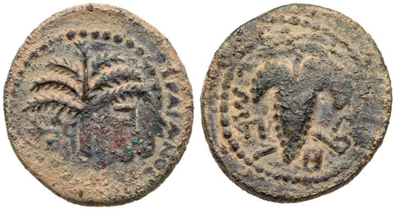 Judaea, Bar Kokhba Revolt. &AElig; Small Bronze (5.75 g), 132-135 CE. Year 2 (13...
