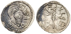 Judaea, Bar Kokhba Revolt. Silver Zuz (3.05 g), 132-135 CE. Irregular issue. Undated, attributed to year 3 (134/5 CE). 'Simon' (Paleo-Hebrew), bunch o...
