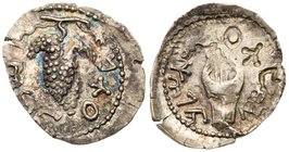 Judaea, Bar Kokhba Revolt. Silver Zuz (3.34 g), 132-135 CE. Undated, attributed to year 3 (134/5 CE). 'Simon' (Paleo-Hebrew), bunch of grapes with lea...