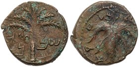 Judaea, Bar Kokhba Revolt. &AElig; Medium Bronze (10.70 g), 132-135 CE. Undated, attributed to year 3 (134/5 CE). 'Simon' (Paleo-Hebrew), seven-branch...