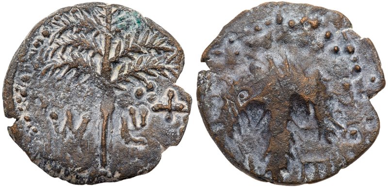 Judaea, Bar Kokhba Revolt. &AElig; Medium Bronze (9.90 g), 132-135 CE. Irregular...