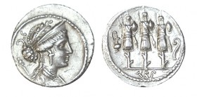 CORNELIA. Denario. Faustus Cornelius Sulla. Roma. R/ Tres trofeos entre praeferículo y lítuo. CD-500 (Vte. por estacas que sostienen a los trofeos). B...