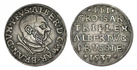 ALEMANIA. 3 Gröscher. Brandenburgo/Prusia. Albrecht von Brandenburg. 1537. Neumann 42. 2,34 g. EBC-
