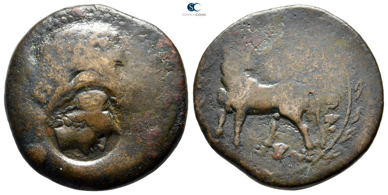 Crete. Gortyna circa 245-221 BC. 
Bronze Æ

24 mm., 8,93 g.

Head of Artemi...