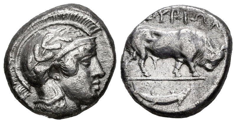 Lucania. Thurium. Estátera. 440-400 a.C. (Sng Ans-901). Anv.: Cabeza de Atenea, ...