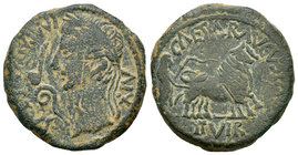 Caesar Augusta. As. 27 a.C.-14 d.C. Zaragoza. (Abh-324). (Acip-3038). Anv.: Cabeza laureada de Augusto a izquierda, delante lituo y símpulo, alrededor...