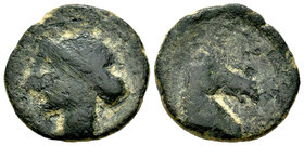 Carthage Nova. As. 220-215 a.C. Cartagena (Murcia). (Abh-514). (Acip-585). Anv.: Cabeza de Tanit a izquierda. Rev.: Cabeza de caballo a derecha. Ae. 6...