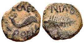 Carthage Nova. Semis. 50-30 a.C. Cartagena (Murcia). (Abh-570). (Acip-2526). Anv.: Delfín a derecha, encima C CAEDI debajo T POPI(LLI). Rev.: Palma a ...