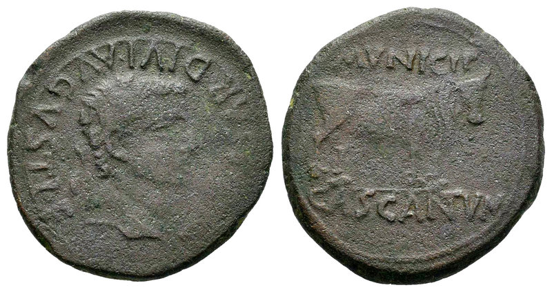 Cascantum. Semis. 14-36 d.C. Cascante (Navarra). (Abh-693). (Acip-3160). Anv.: C...